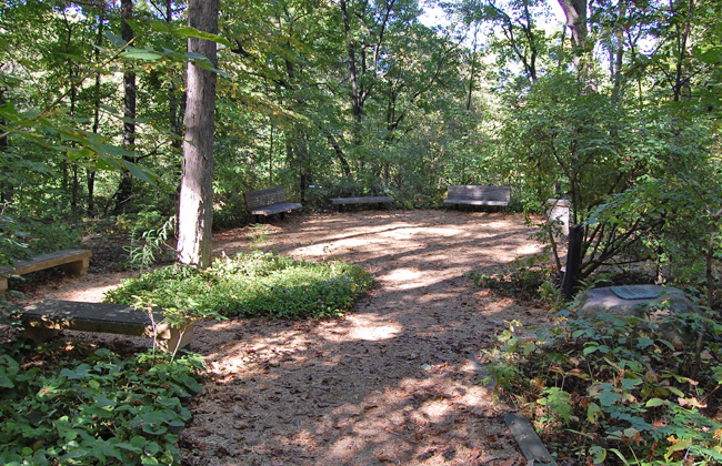 Old Cabin Site