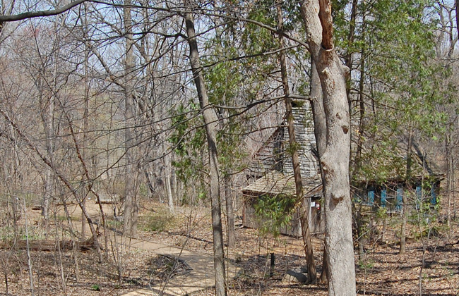 Shelter in Early Spring