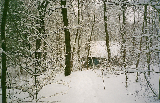 Martha Crone Shelter in Winter