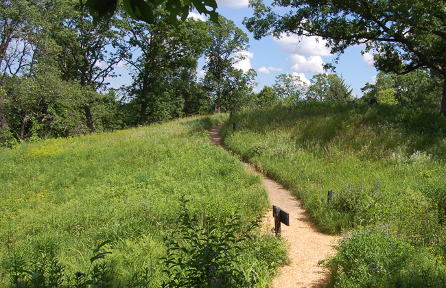 Upland hillside today
