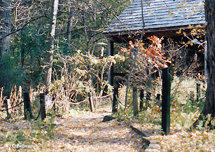path with ropes and posts