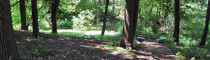 Path to Mallard Pool