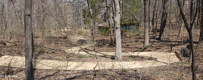Garden Path to Shelter