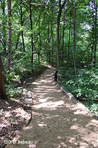 Path to the front gate