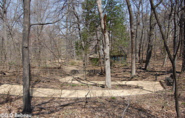 Current path to the shelter