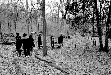 Garden path to the Shelter from late 1990s