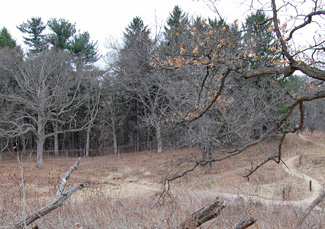 Prairie Addition