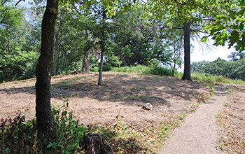 prairie restoration area