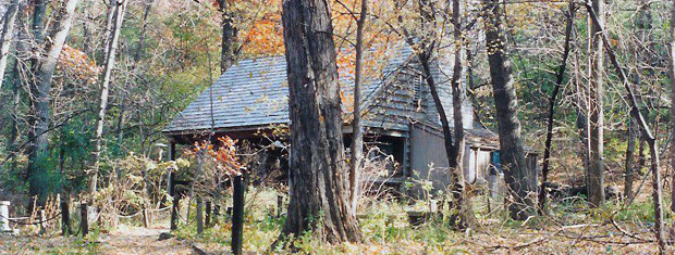 Martha Crone Shelter