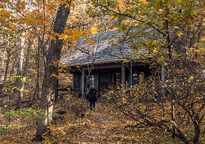 Martha Crone Shelter