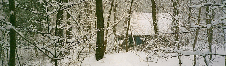 Garden shelter in Winter