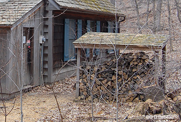 Shelter Woodpile