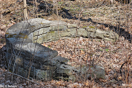 Stonework around old spring