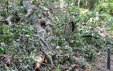 Storm debris from July Storm