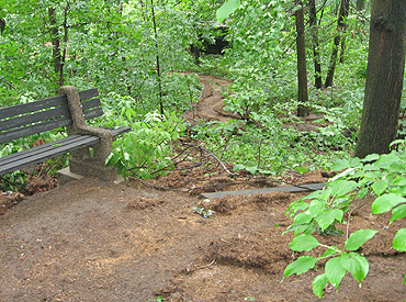 Garden Path Storm Damage