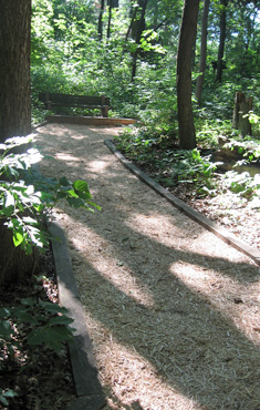 Paths repaired after storm