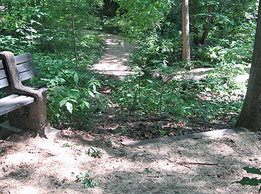 Path damage repaired