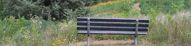 Bench in the Upland