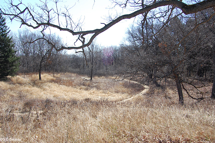 Upland Garden looking east