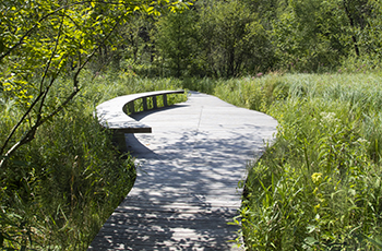 wetland center