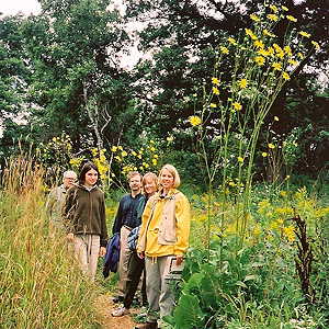Prairie Dock