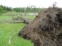 more damage at wirth beach