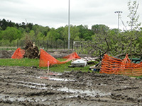 damage at wirth beach