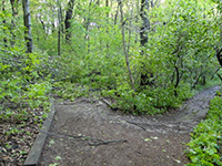 Blocked garden paths