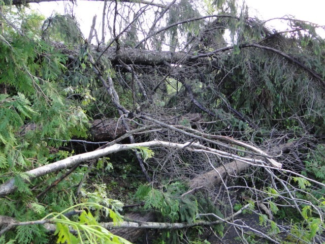 Tornado damage