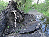 path washout