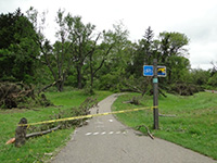damage on walk path