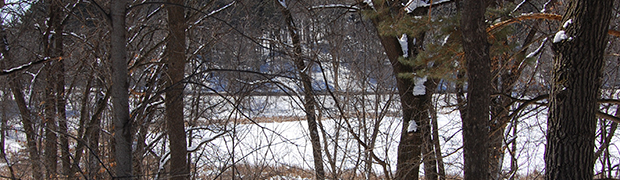 Birch pond 2018