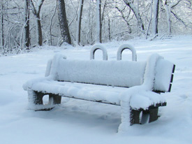 Bench in snow