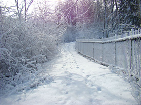 Back fence in snow