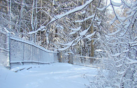 Back gate in snow