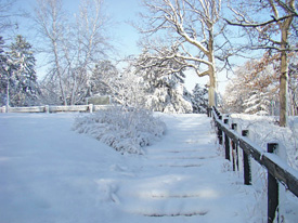 Front steps in snow