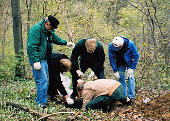 Tree planting preparation