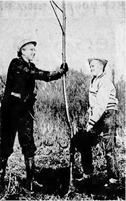 Karen Eastman at Robert's Bird Sanctuary