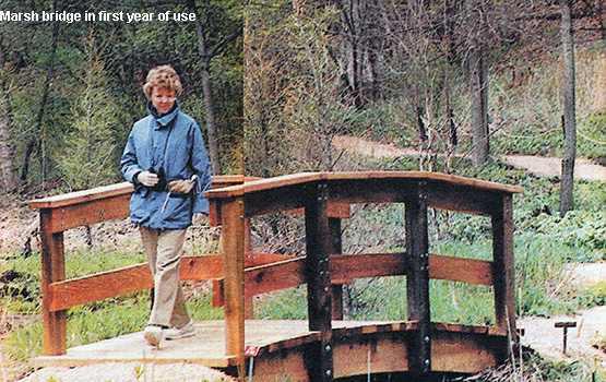 1990 bridge photo