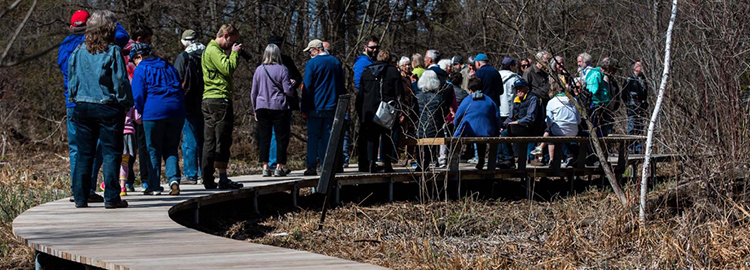 boardwalk dedication