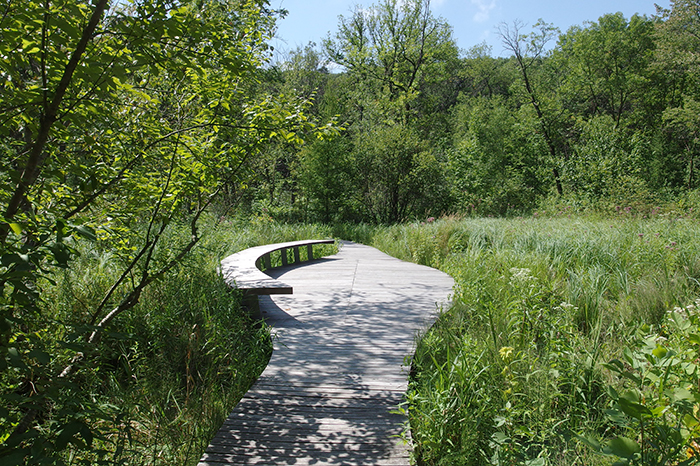 Boardwalk gathering space