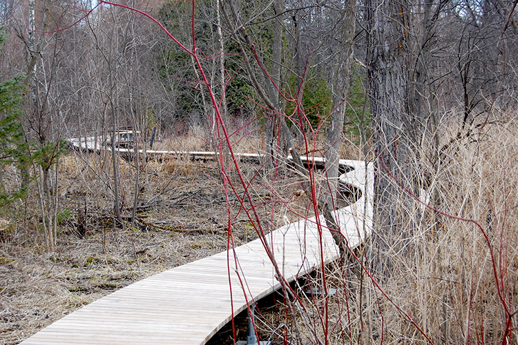 Boardwalk