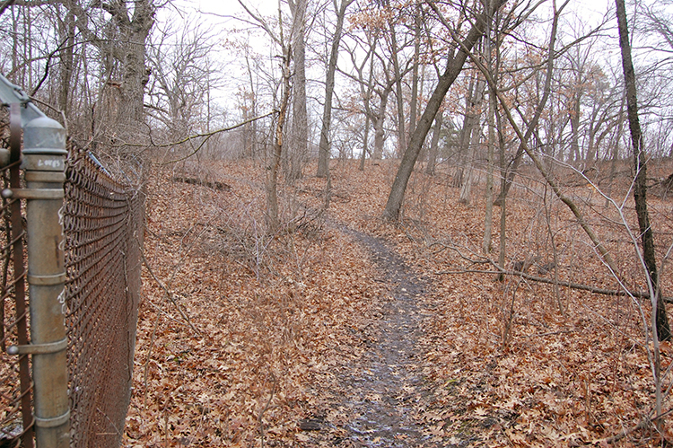 old fence line 10