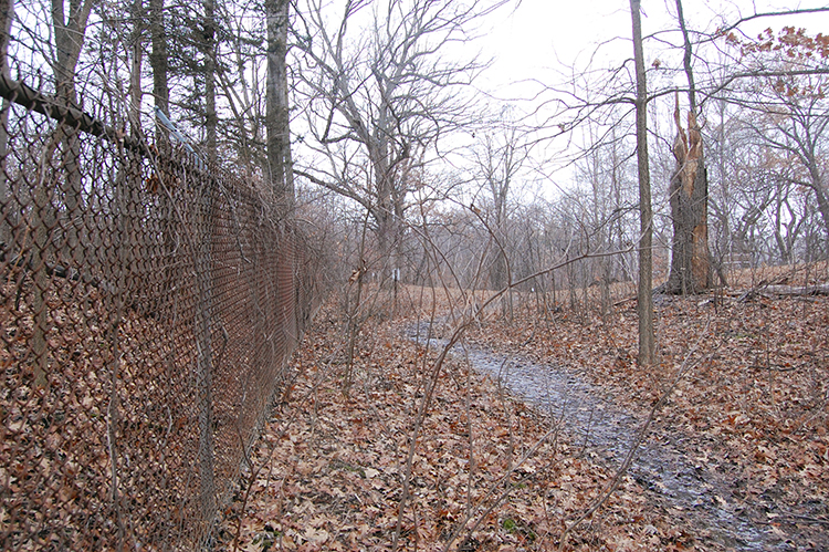 old fence line 12