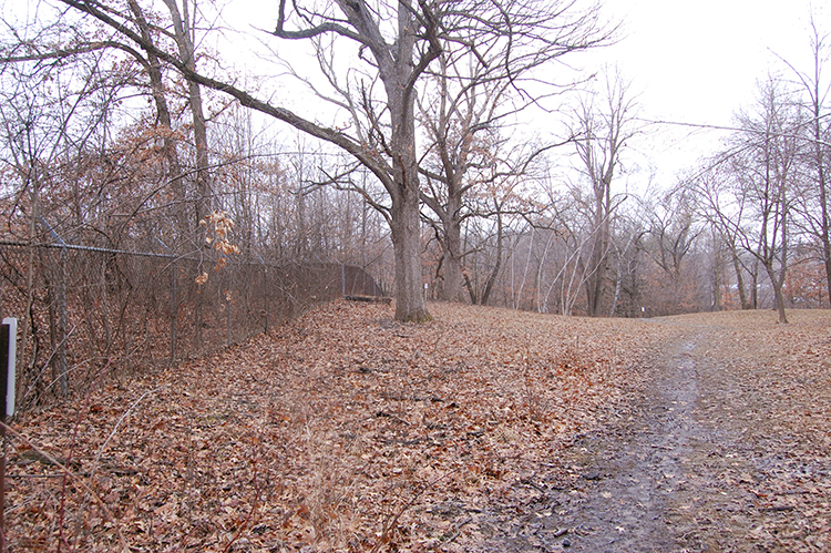 old fence line 13