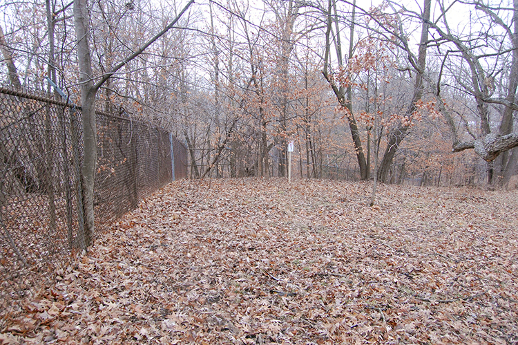 old fence line 14