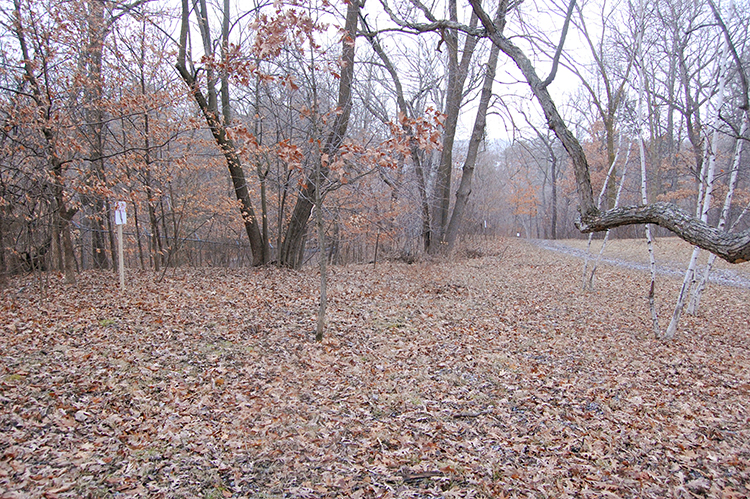 old fence line 15