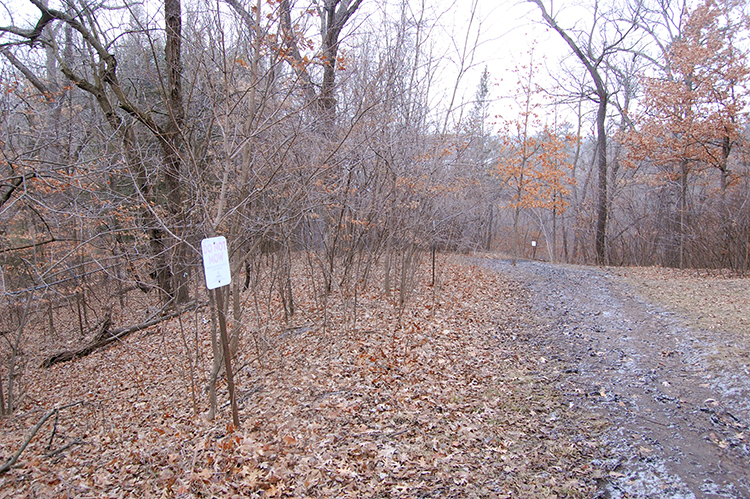 old fence line 16