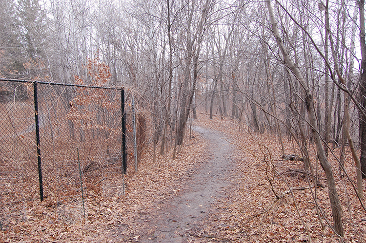 old fence line 1