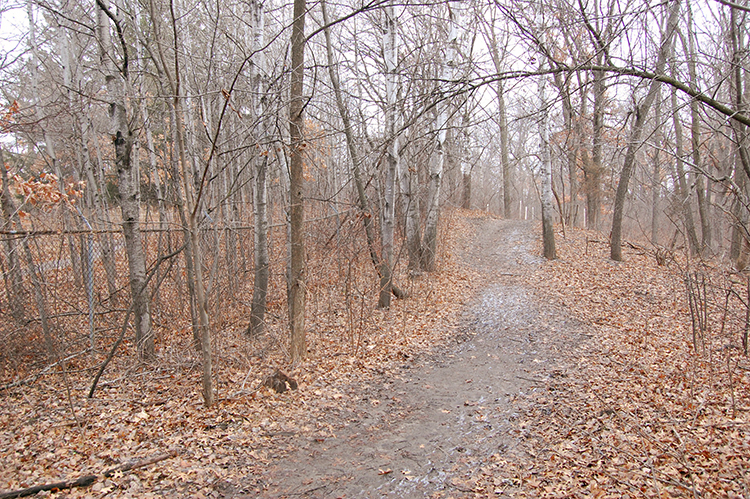 old fence line 2